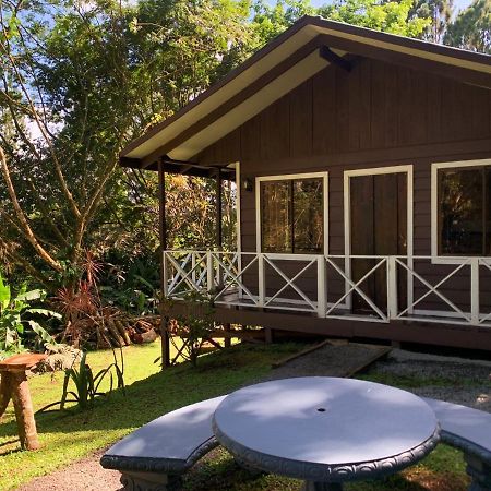 Hospedaje La Naciente Turrialba Dış mekan fotoğraf