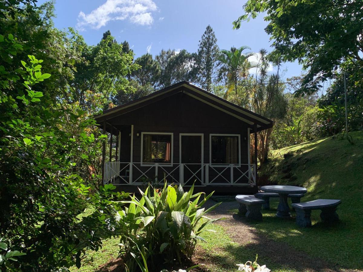 Hospedaje La Naciente Turrialba Dış mekan fotoğraf