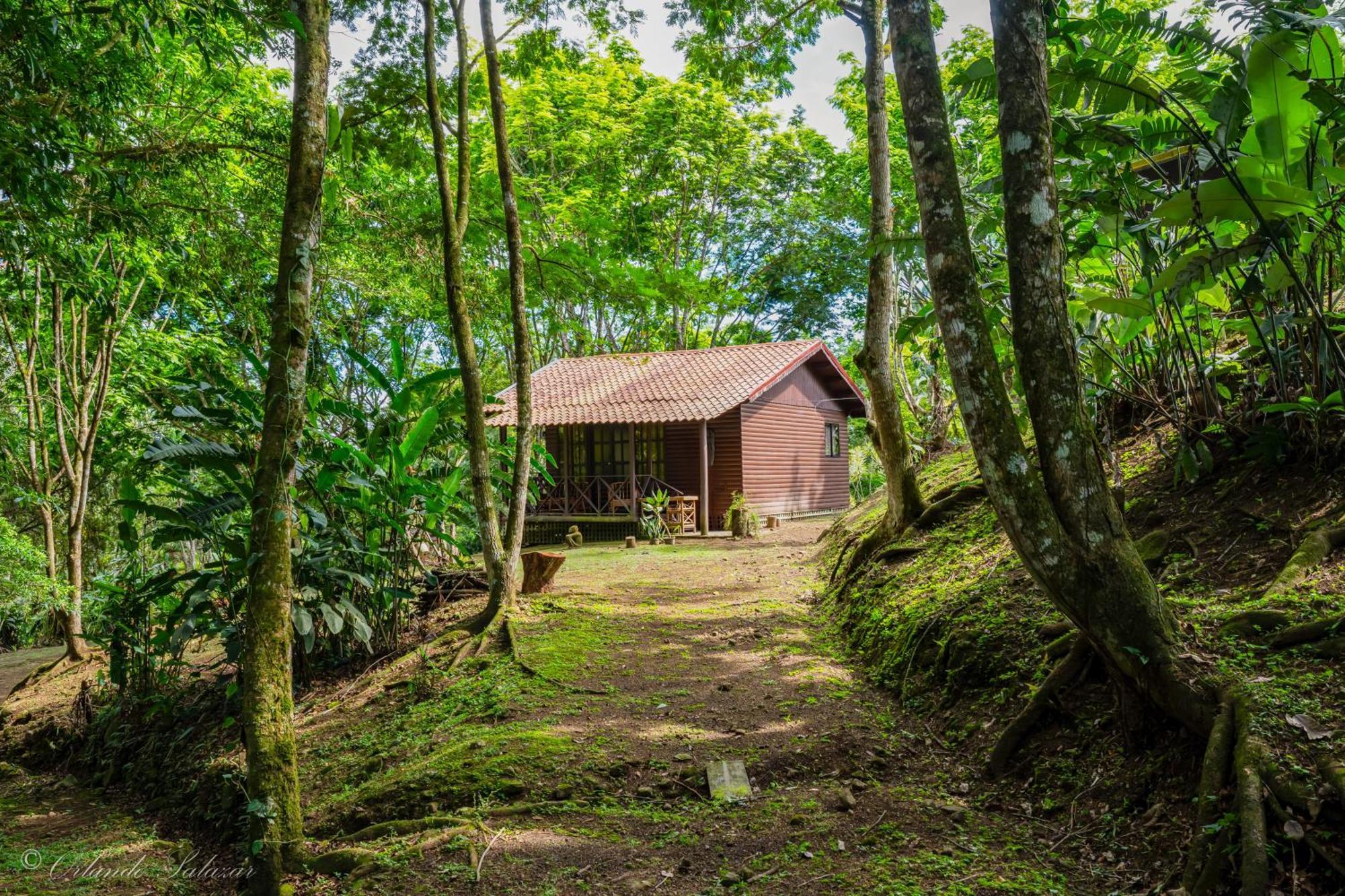 Hospedaje La Naciente Turrialba Dış mekan fotoğraf