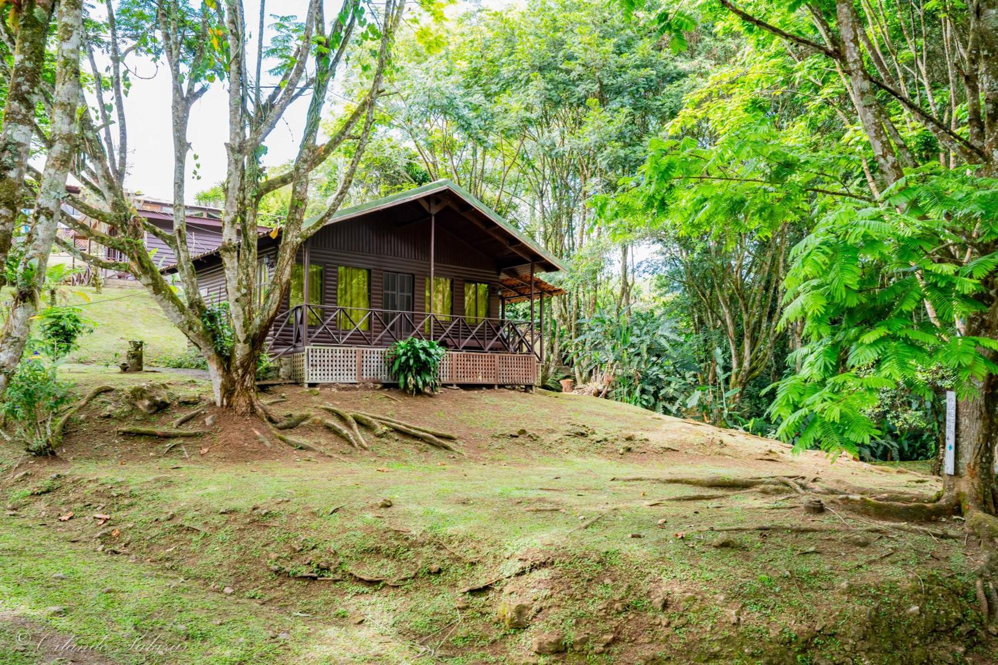 Hospedaje La Naciente Turrialba Dış mekan fotoğraf