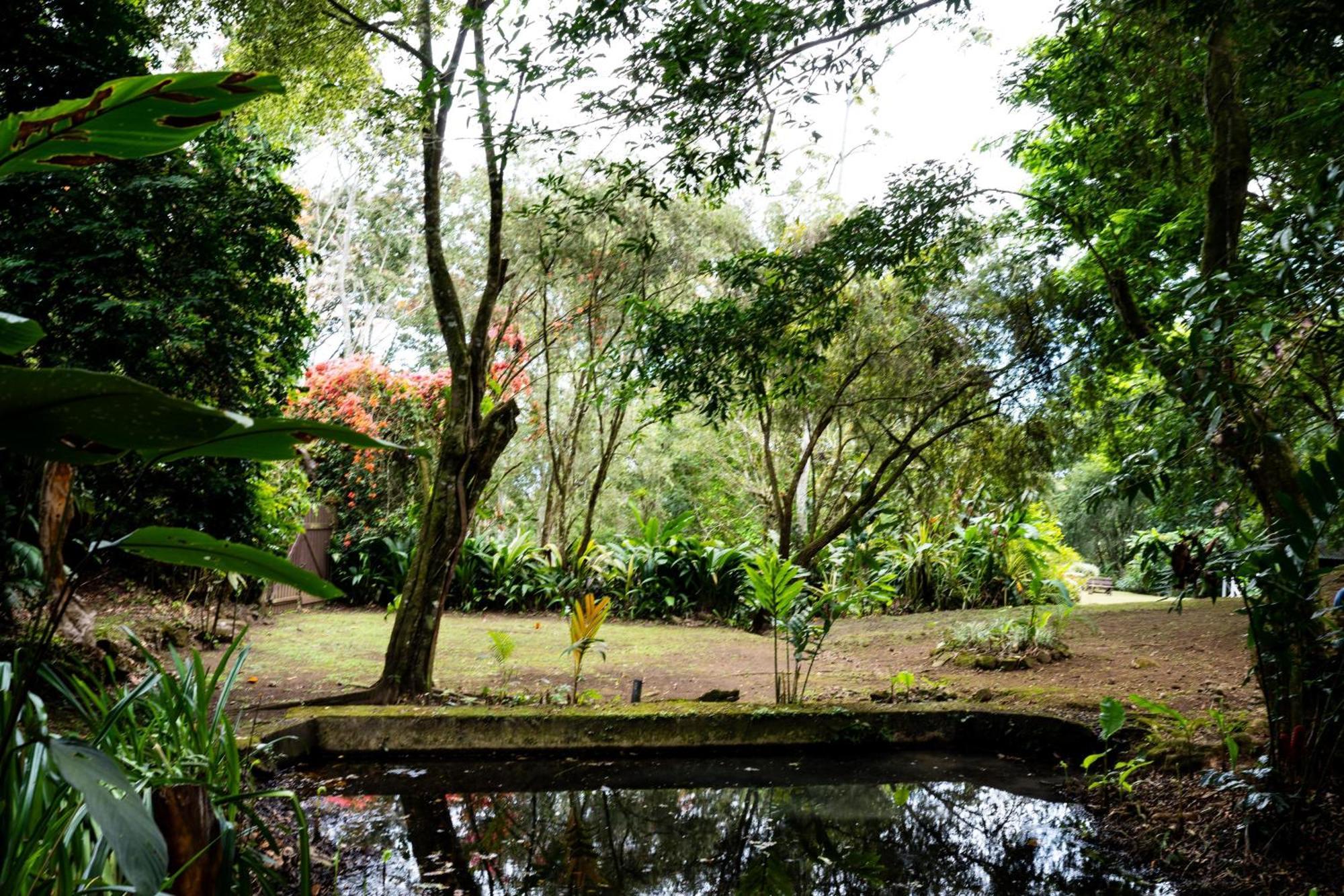 Hospedaje La Naciente Turrialba Dış mekan fotoğraf