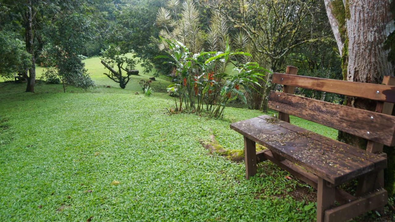 Hospedaje La Naciente Turrialba Dış mekan fotoğraf