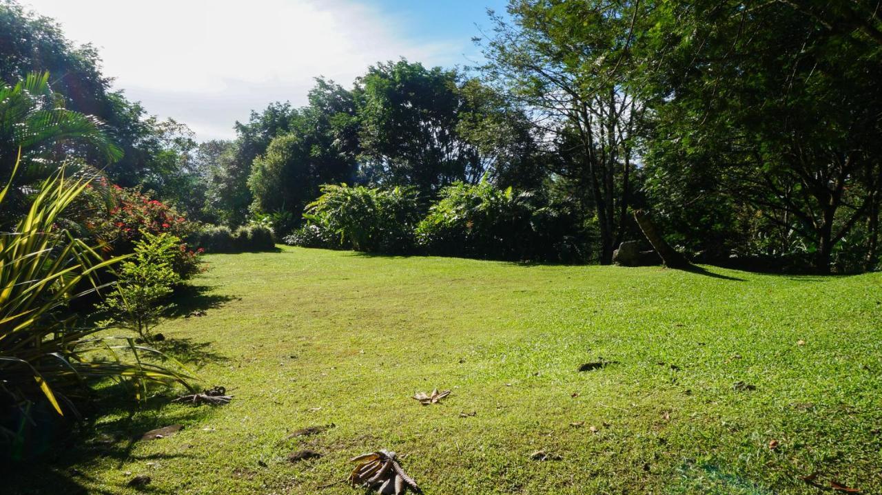 Hospedaje La Naciente Turrialba Dış mekan fotoğraf